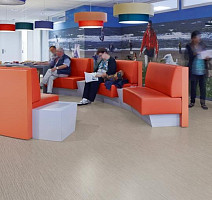 Forbo Modul'up Compact Wood 311UP43C light grey zebrano фото 2 | FLOORDEALER